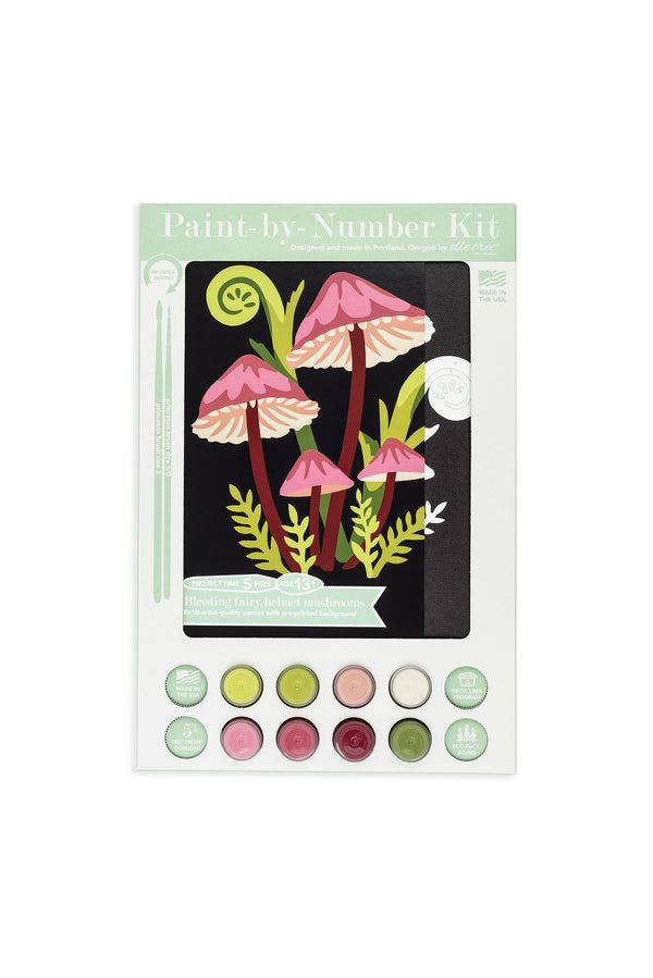 Elle Crée Bleeding Fairy Helmet Mushrooms Paint-by-Number Kit, 8x10, kit packaging