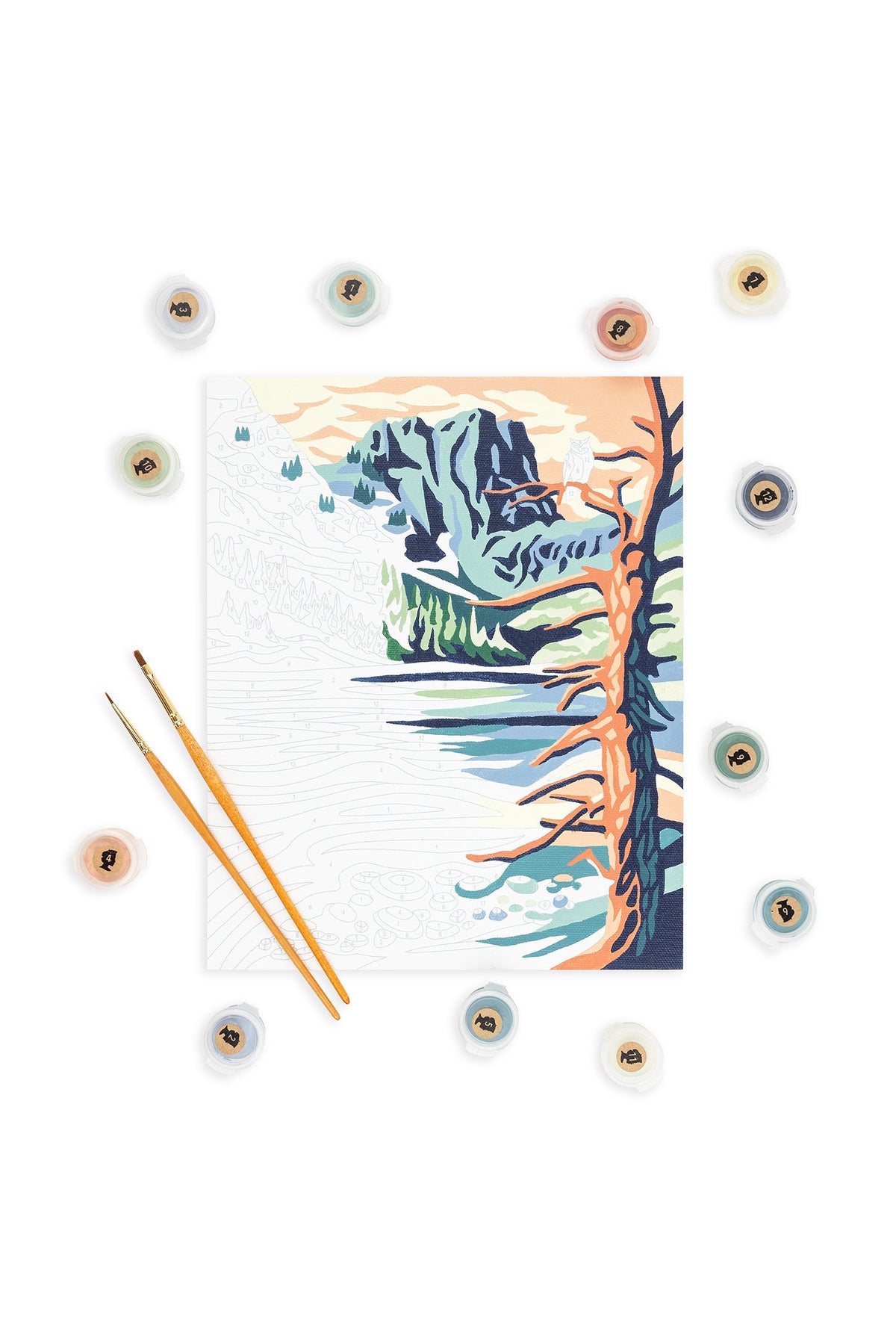 Elle Crée Rocky Mountain National Park Paint-by-Number Kit, 8x10, kit contents laid out