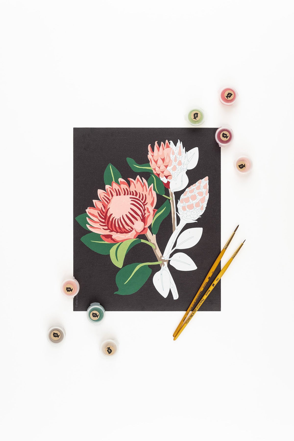 Elle Crée King Protea Blooms (black background) Paint-by-Number Kit, 8x10, kit contents laid out
