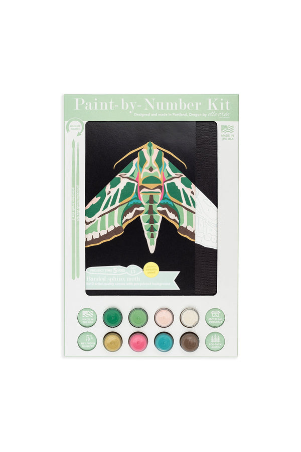 Elle Crée Banded Sphinx Moth Paint-by-Number Kit, 8x10, kit packaging