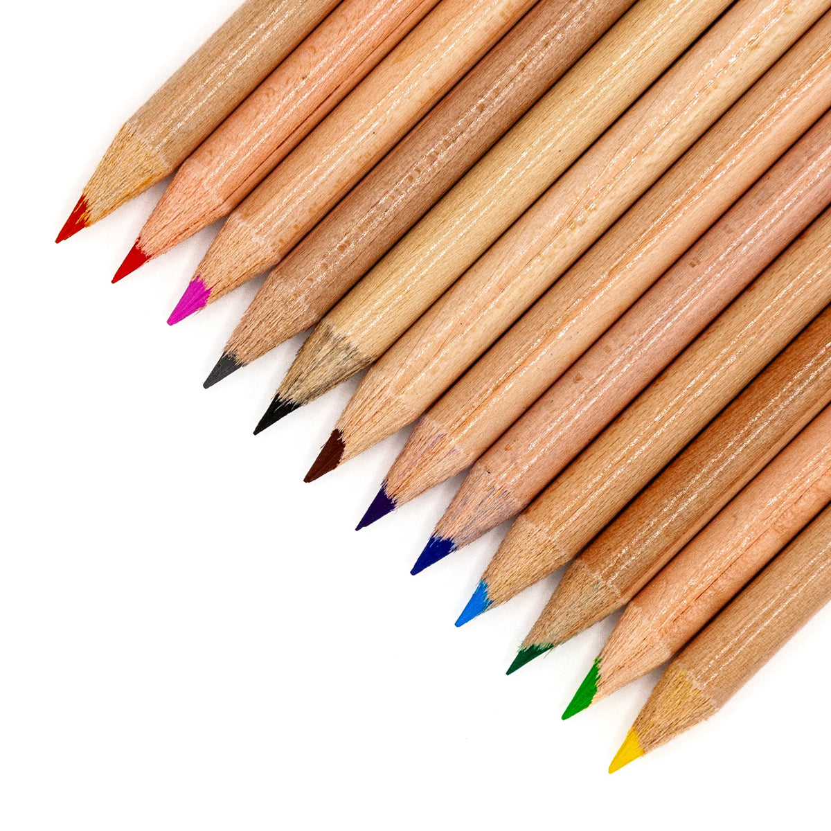 Musgrave | Coloring Pencils | 12 Colors