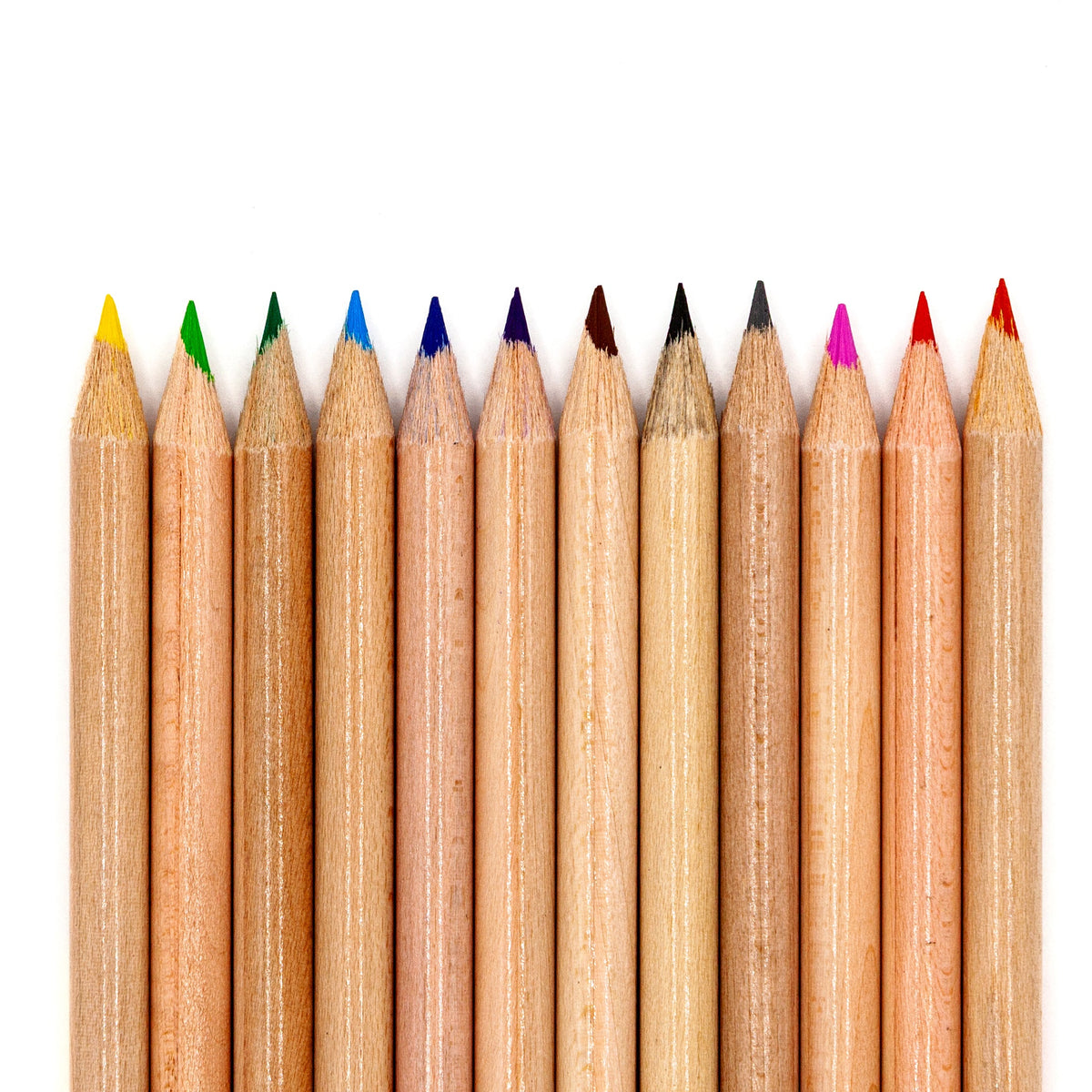 Musgrave | Coloring Pencils | 12 Colors