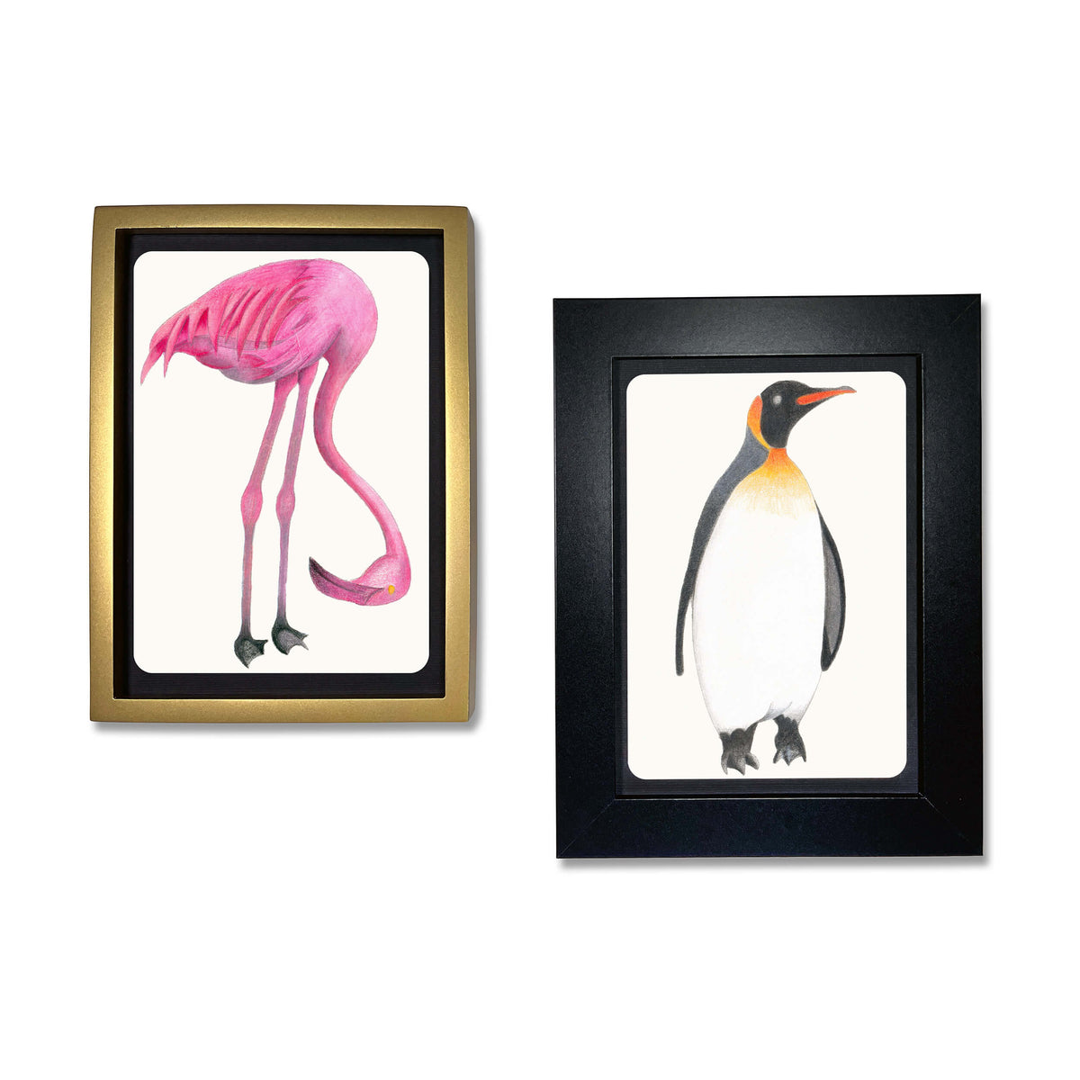 Elseware Unplug Coloring Postcards, 30 Cards, 6 Designs in a Tin, Bird, view 8 of 14