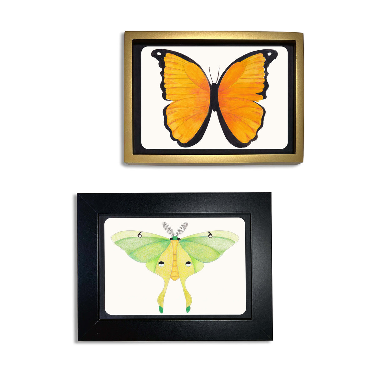 Elseware Unplug Coloring Postcards, 30 Cards, 6 Designs in a Tin, Butterfly & Moth, view 7 of 14